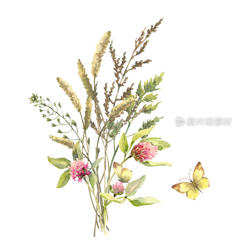 水彩草地花束三叶草，田野草本植物，荠菜和蝴蝶。手绘花卉海报的野花孤立在白色背景