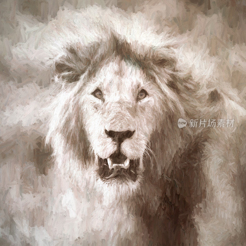 在肯尼亚马赛马拉，一只年轻的成年雄性狮子，美洲豹的数码画。风格化的。