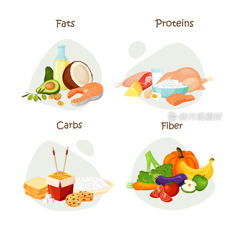 食物中的蛋白质、脂肪、纤维和碳水化合物。