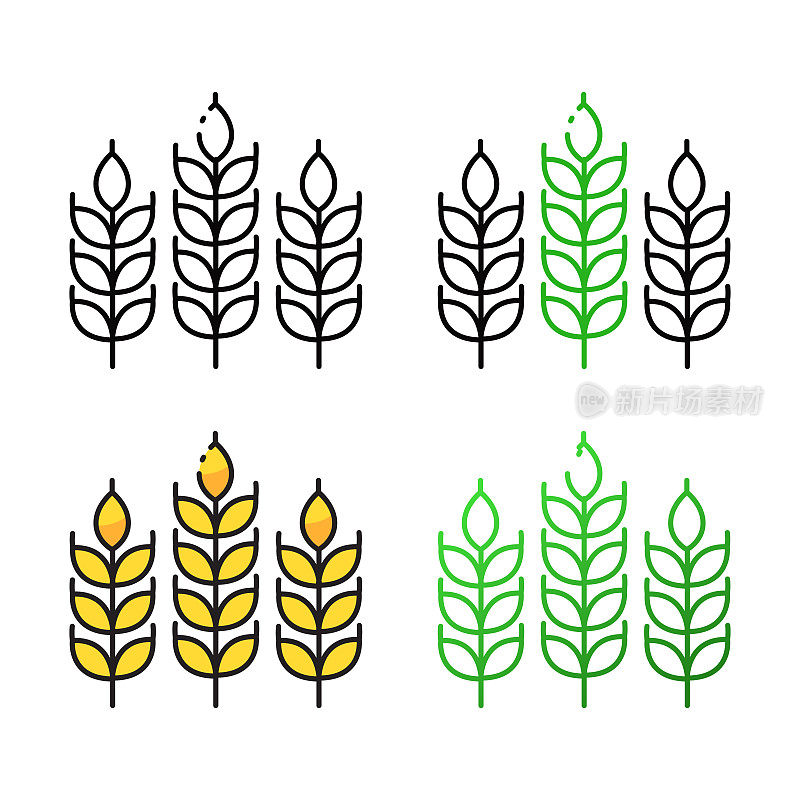 小麦图标设计在四个变化的颜色