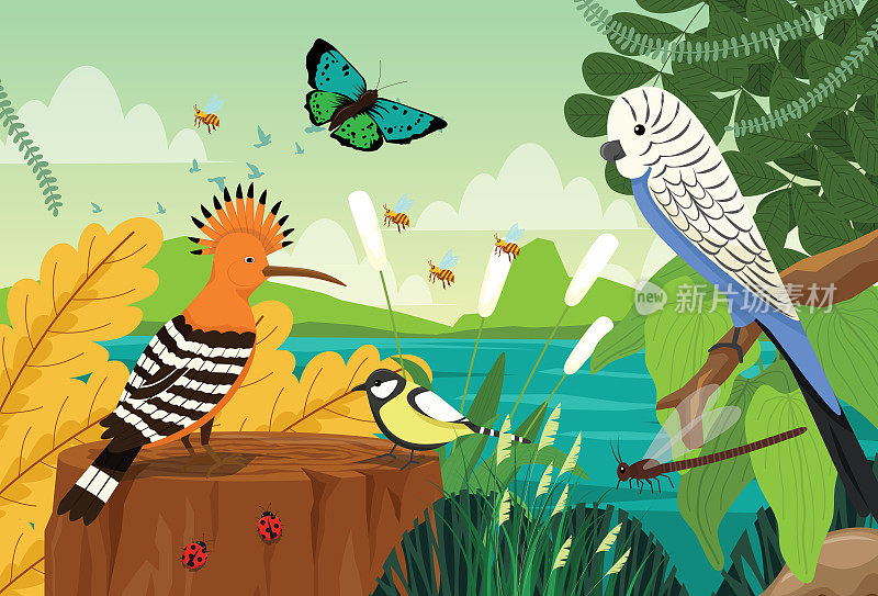 鸟群、鸟类和昆虫生活在热带雨林的生态系统中。动植物资源丰富的环境。