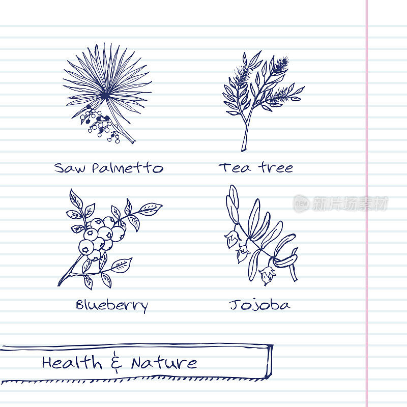 手绘插图-健康和自然设置