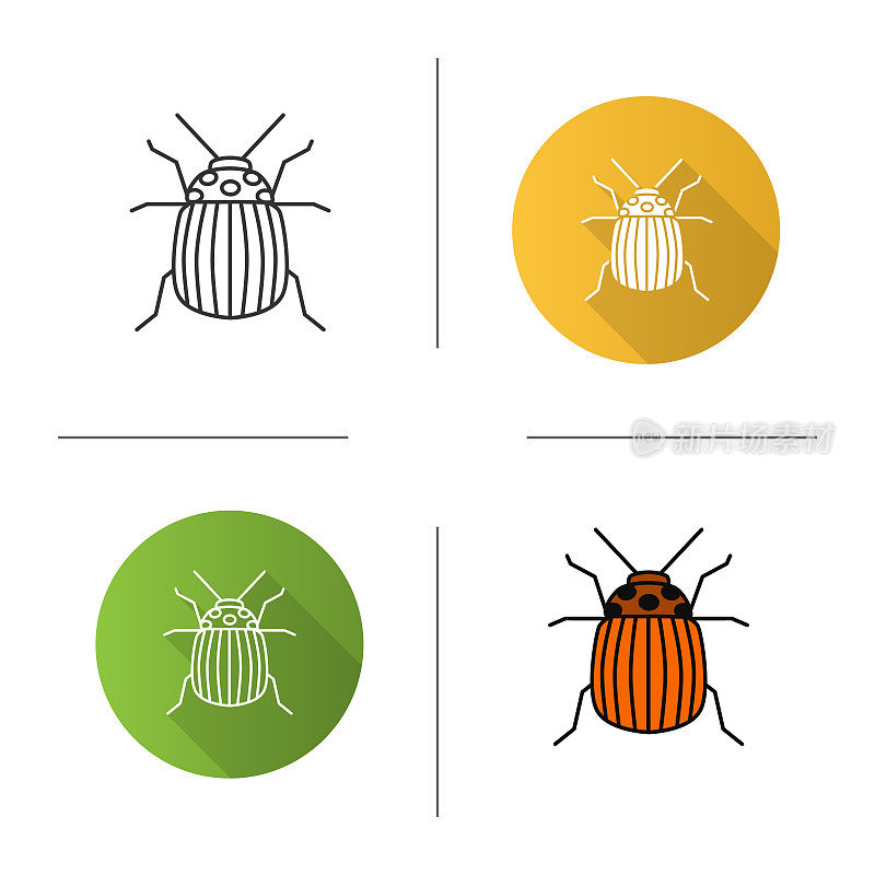 科罗拉多甲虫图标