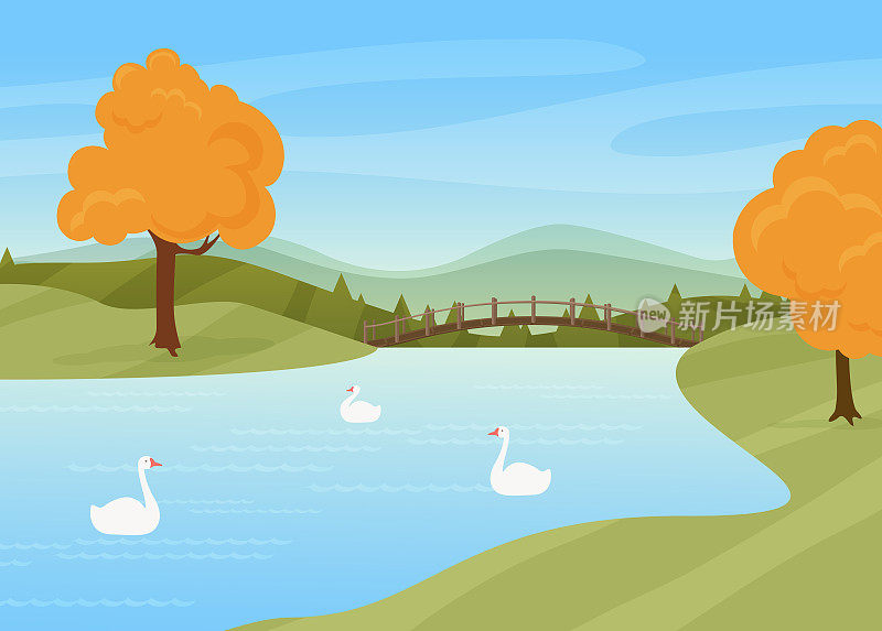 天鹅游河，田园秋色自然景观，野鸟游水面，小桥