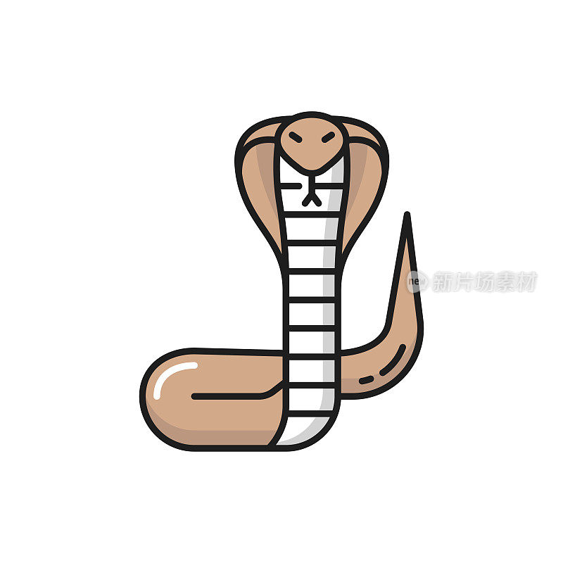 眼镜王蛇，毒蛇，毒蛇孤立的图标