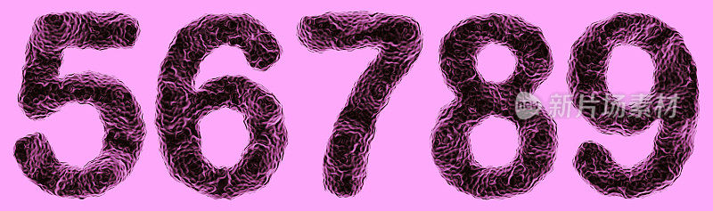 紫色背景上数字5,6,7,8,9形状的细菌的显微镜视图。用于微生物学、科学研究或细菌感染概念的3D数字集。