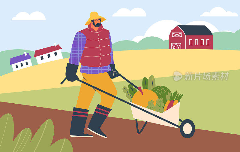 农民或园丁从田地里收获蔬菜平面矢量插图。