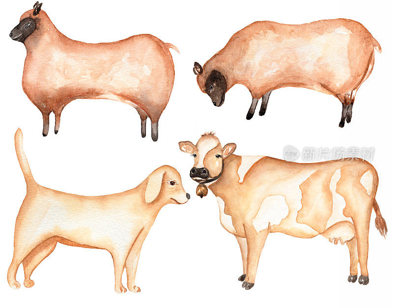农场动物剪贴画，水彩手绘奶牛剪贴艺术，可爱的狗插图，绵羊剪贴艺术，村庄集
