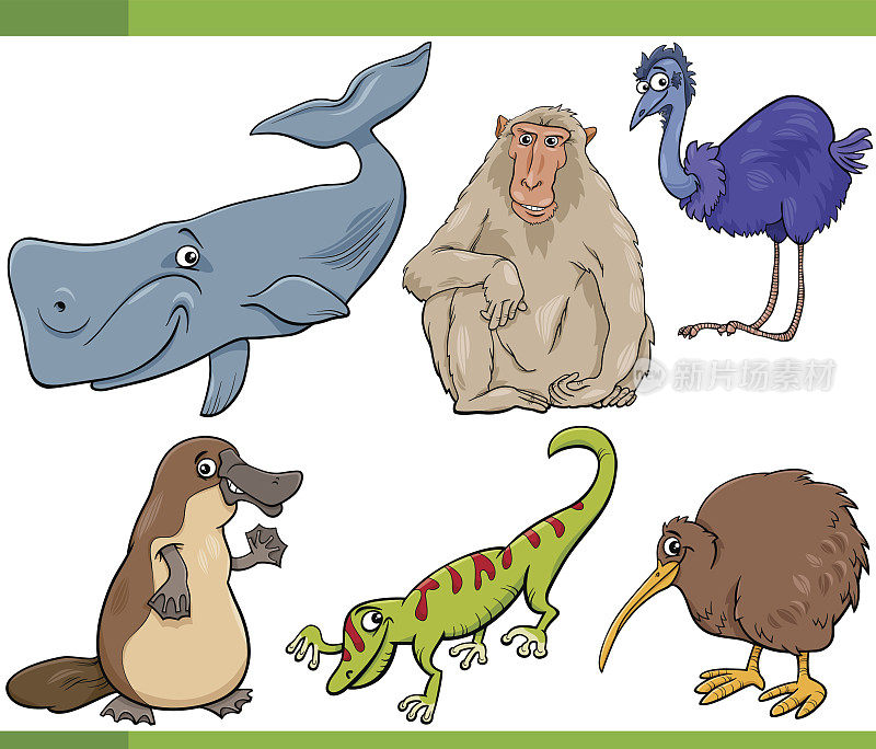 野生动物卡通插画