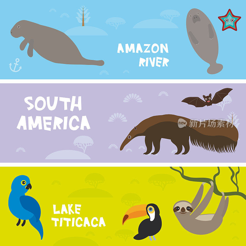 可爱的动物设置食anteater海牛海牛树懒巨嘴鸟蝙蝠风信子金刚鹦鹉，孩子背景，南美动物的喀喀湖，亚马逊河鲜艳多彩的旗帜。向量