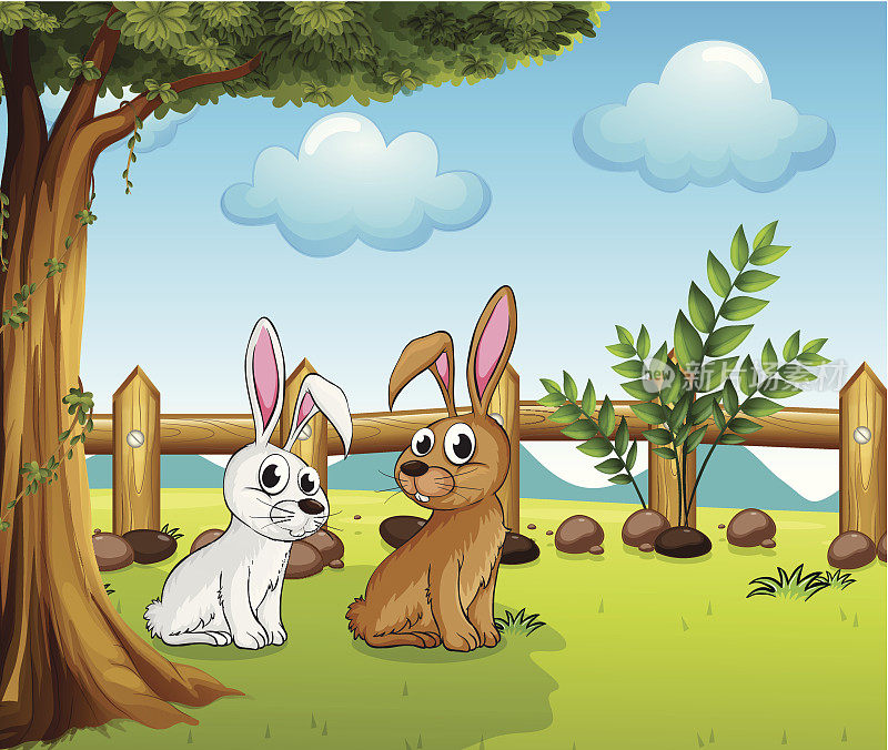 围栏里的两只小兔子