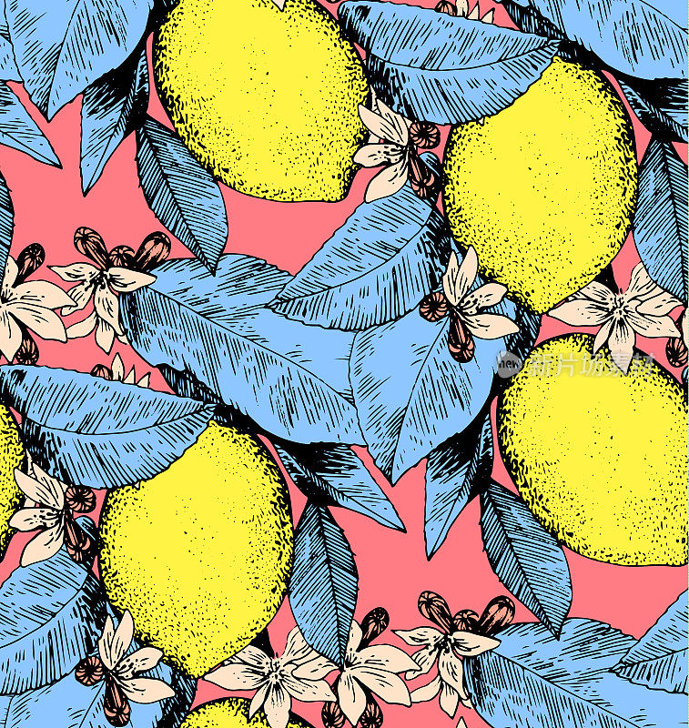 无缝的花卉图案。柠檬水果背景色彩鲜艳。花、叶、柠檬。矢量图