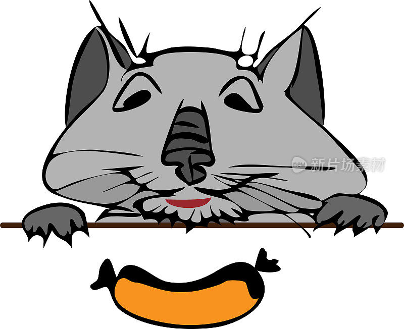 画着搞笑的灰猫在看一根肉香肠