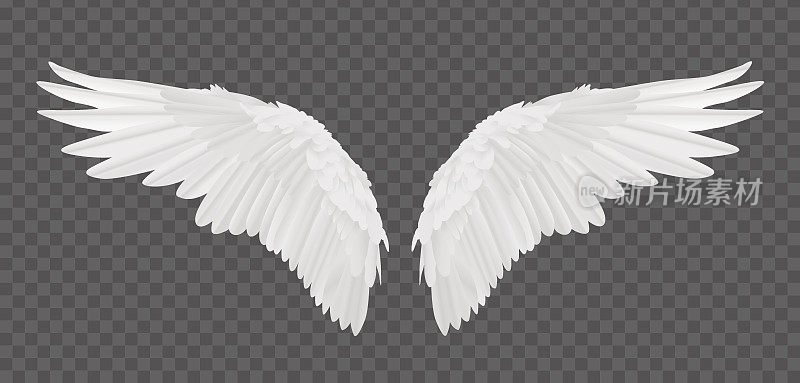 矢量现实的天使翅膀孤立在透明的背景