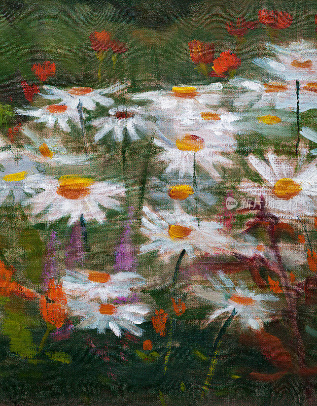 时尚的插画现代艺术作品我的油画原画在画布上夏天风景印象派花朵在自然环境中盛开的白色雏菊