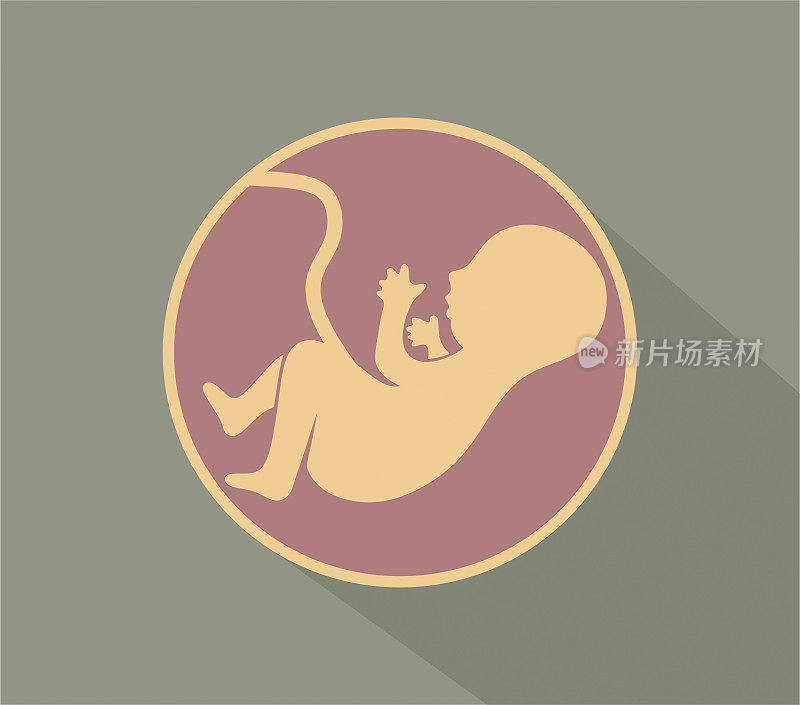 人类胎儿图标