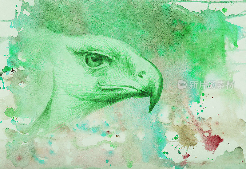 时尚的插图，鸟，动物，艺术寓言画与水彩画在纸上印象派水平的象征性肖像头看一只鹰的侧面在一个抽象的背景在蔓延水彩画在绿色的颜色