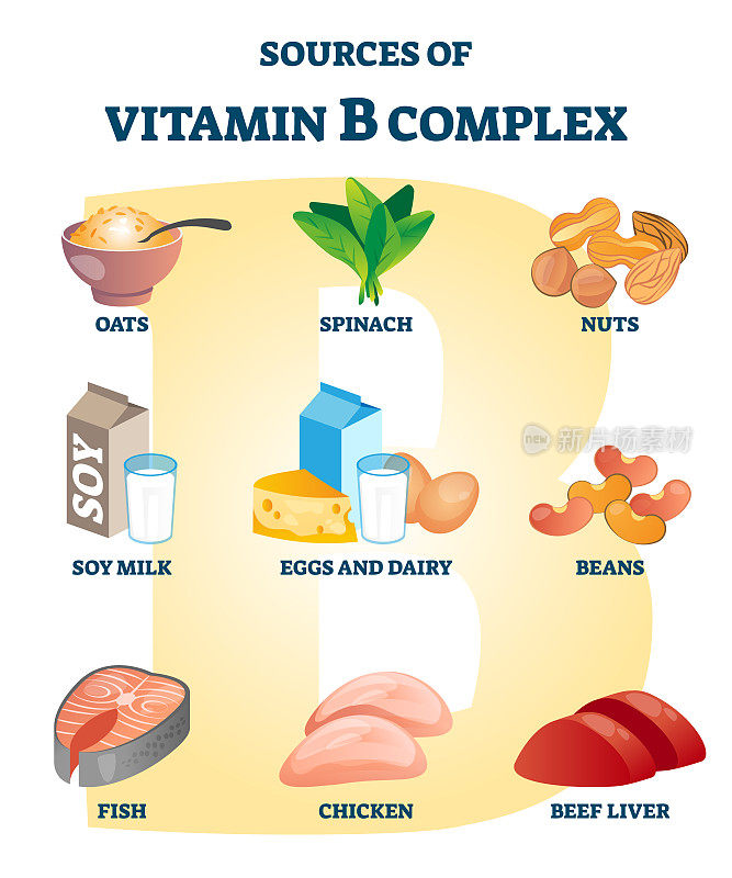 复合维生素B的来源，并附有健康食品的营养例子