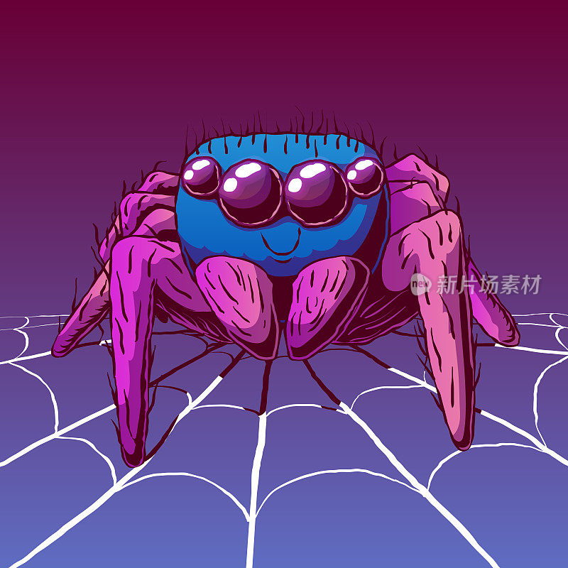手绘卡通可爱的插图-微笑的蜘蛛在一个蜘蛛网。