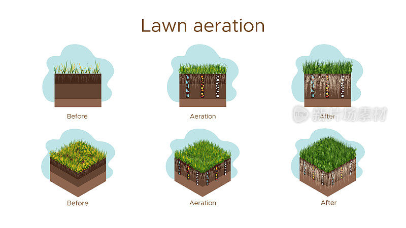 草坪保养-通风和划痕。阶段标签-之前，期间和之后。吸收物质——水、氧气和养料来喂养草地和土壤。矢量等距和平面插图孤立