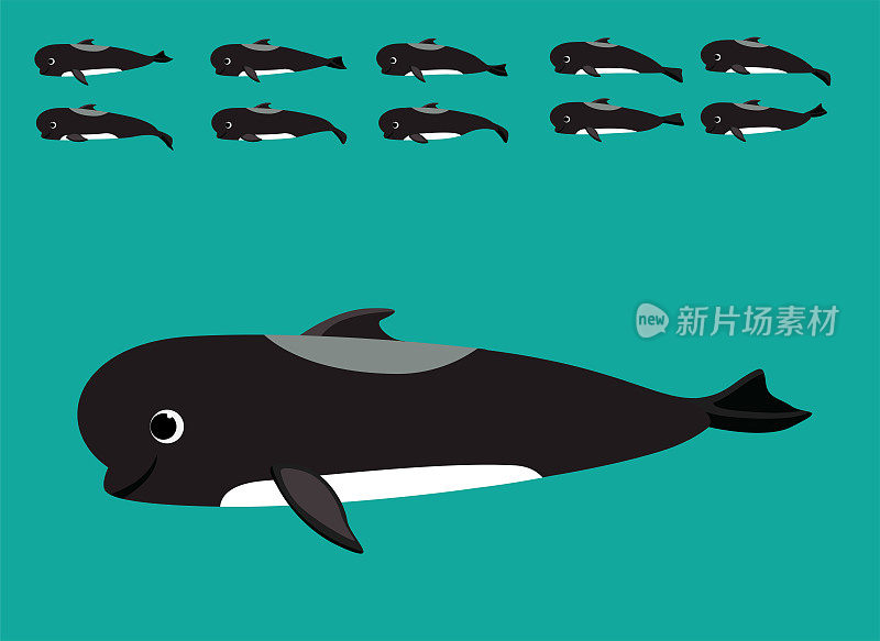 动物动画长鳍领航鲸卡通矢量序列帧