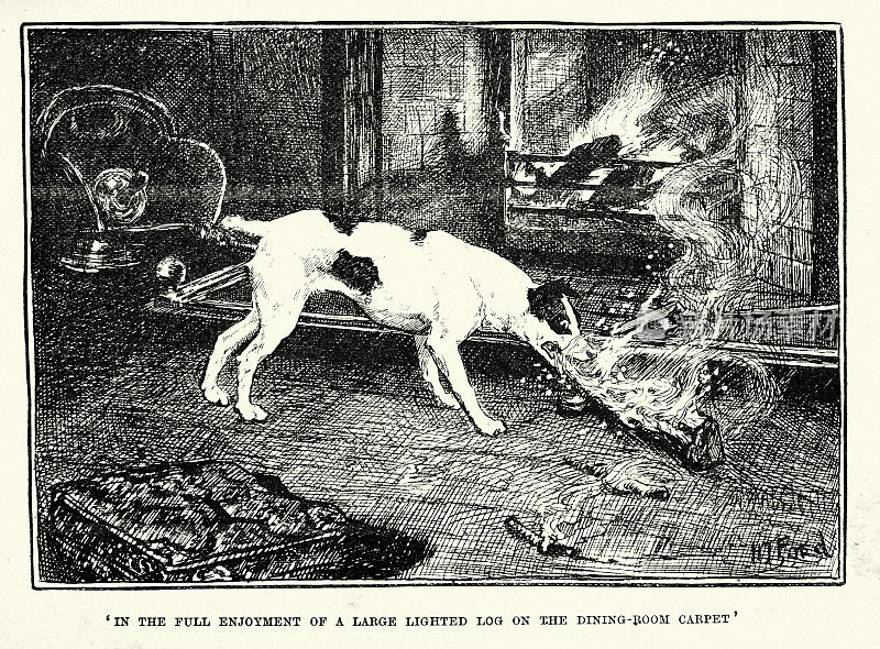 调皮的小狗把燃烧的木头从火里拖到地毯上，维多利亚时代的动物艺术