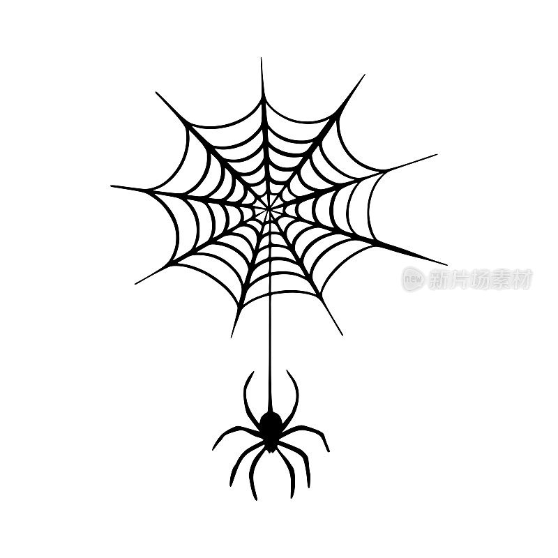 黑蜘蛛落在网上。可怕的蜘蛛网万圣节的象征。矢量隔离了十月派对和邀请函的恐怖背景。孤立的白色矢量图像