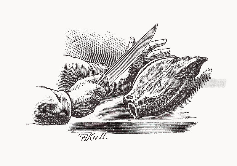 沙拉准备,怀旧的场景从过去,木刻,出版1898年