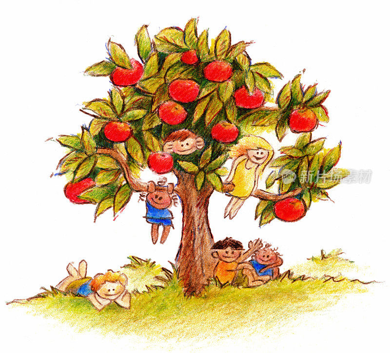苹果树上的孩子