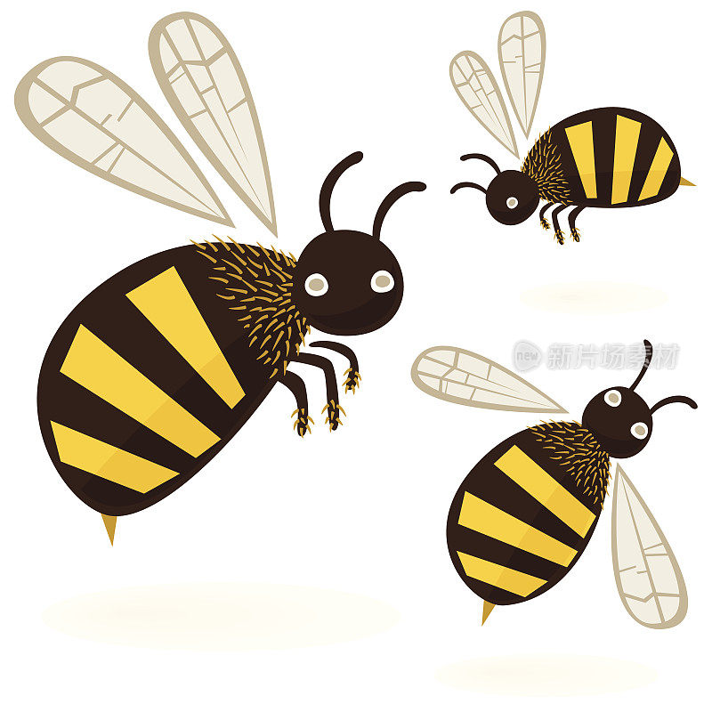 大黄蜂-图标设置