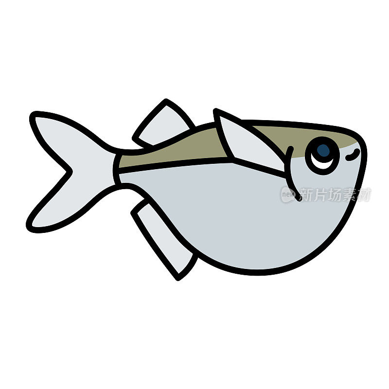 淡水hatchetfish