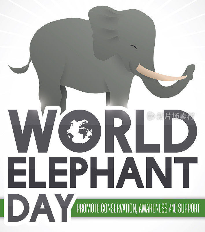 在世界大象日期间，大象越过标志和标签促进保护