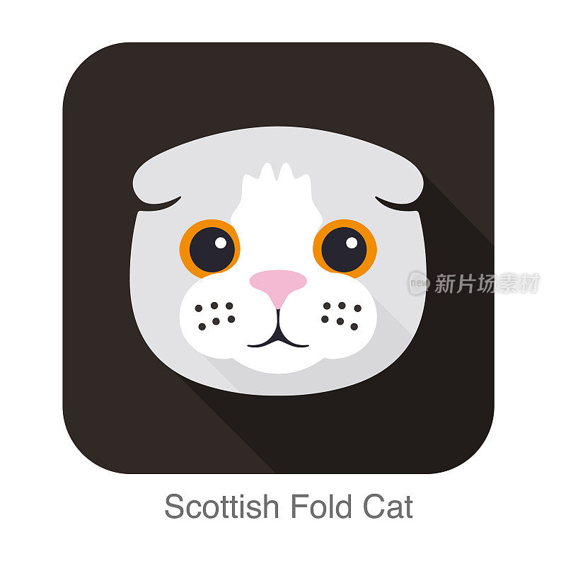 苏格兰折猫脸平面图标设计，矢量插图
