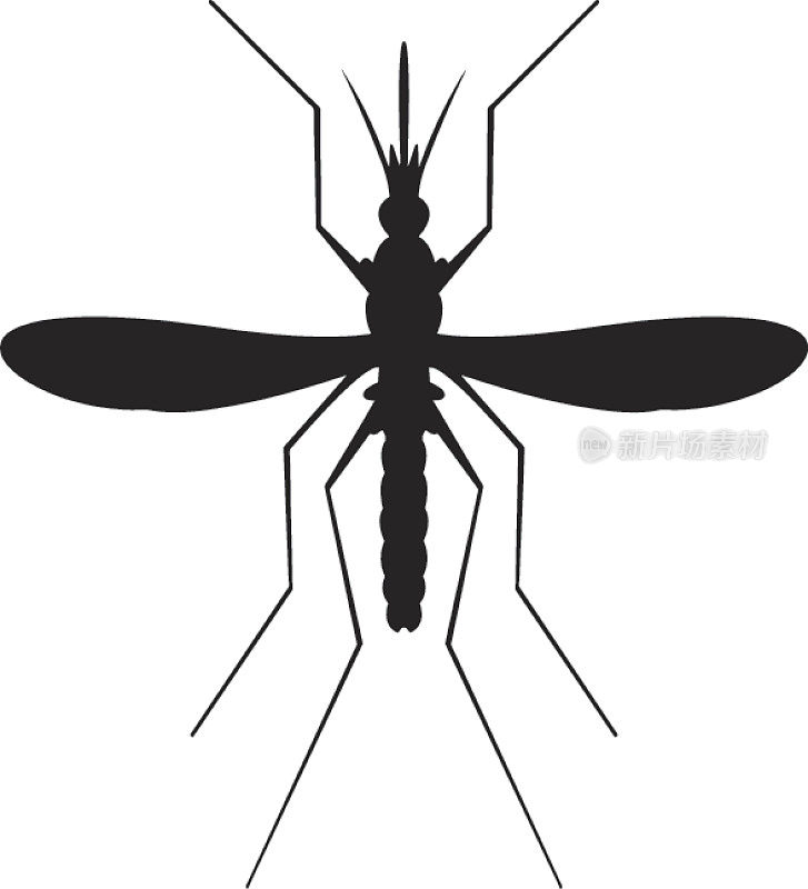 蚊子的轮廓