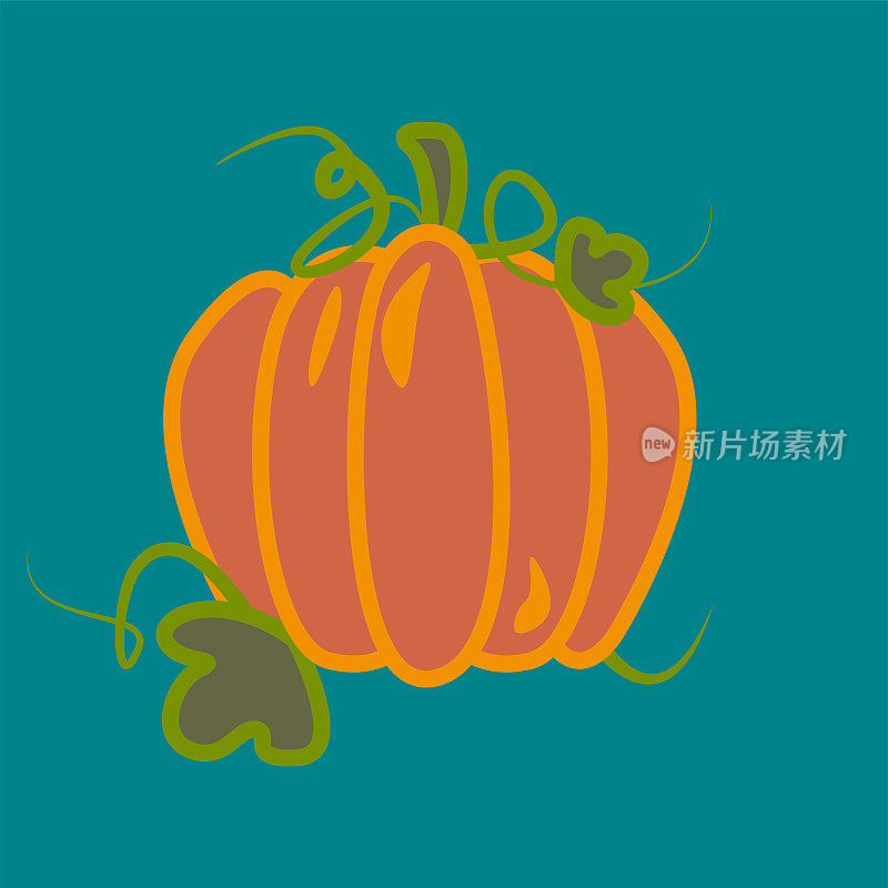 南瓜线艺术矢量在方形绿松石背景。橙色的南瓜，有绿色的叶子和藤蔓。对象用于打印、发布。秋收邮票。感恩节和万圣节用的大南瓜。