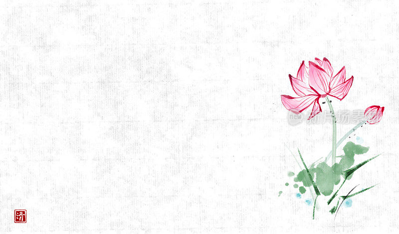 在复古宣纸上用墨水手绘的粉红色莲花。传统东方水墨画梅花、梅花、梅花。象形文字——美