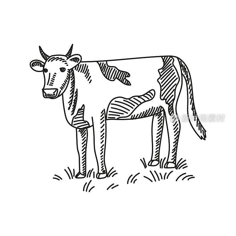 COW手绘草图图标,矢量插图
