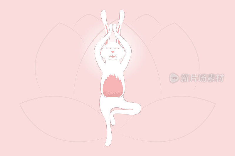 兔子练习树式瑜伽