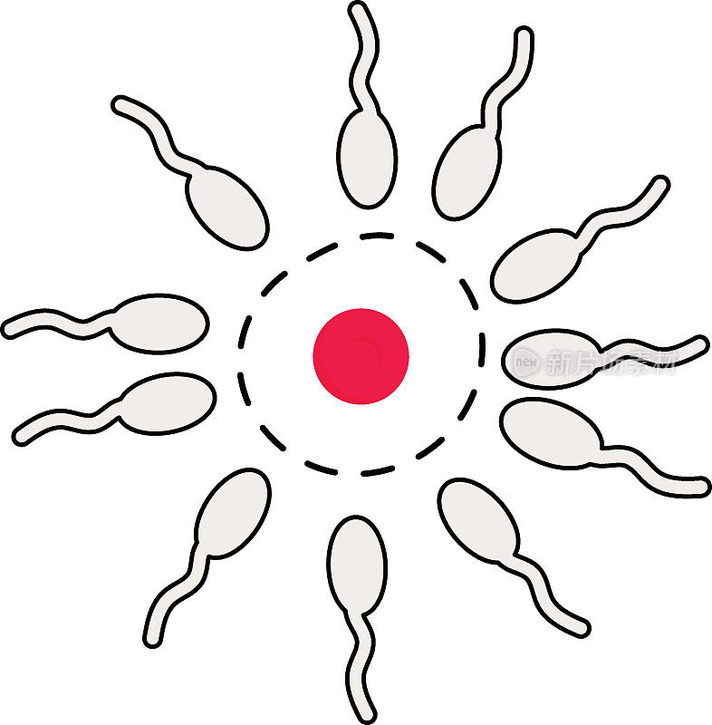 精子与卵子在实验室概念，人工授精显微镜视图矢量图标设计，体外受精符号，怀孕和产科医生的标志，试管婴儿程序库存插图