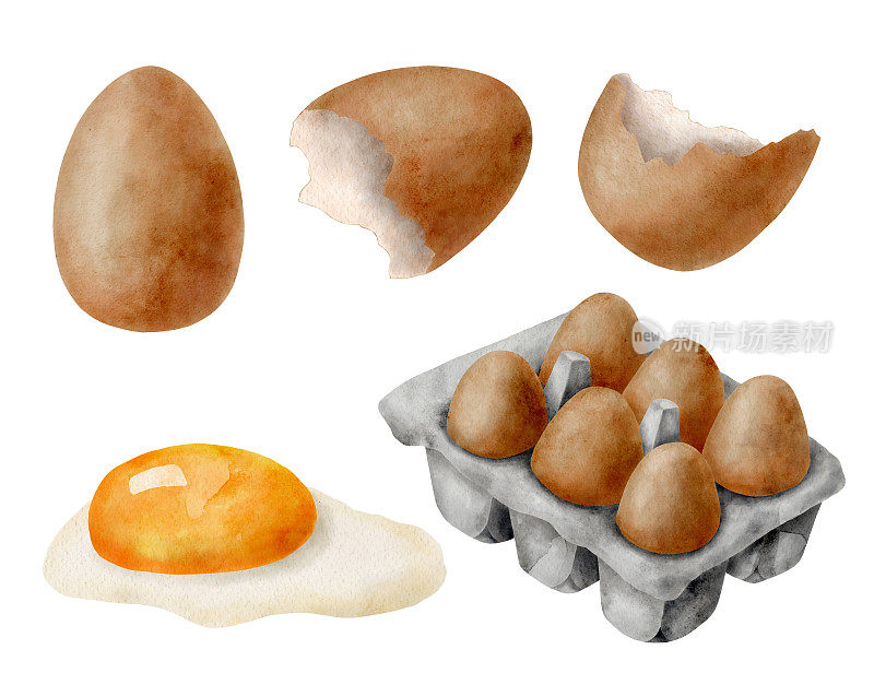 水彩鸡蛋套装。手绘棕色鸡蛋，蛋黄和玻璃，蛋壳和鸡蛋包装盒隔离在白色背景上。烹饪天然有机生态食材。健康新鲜的农场食品插图。