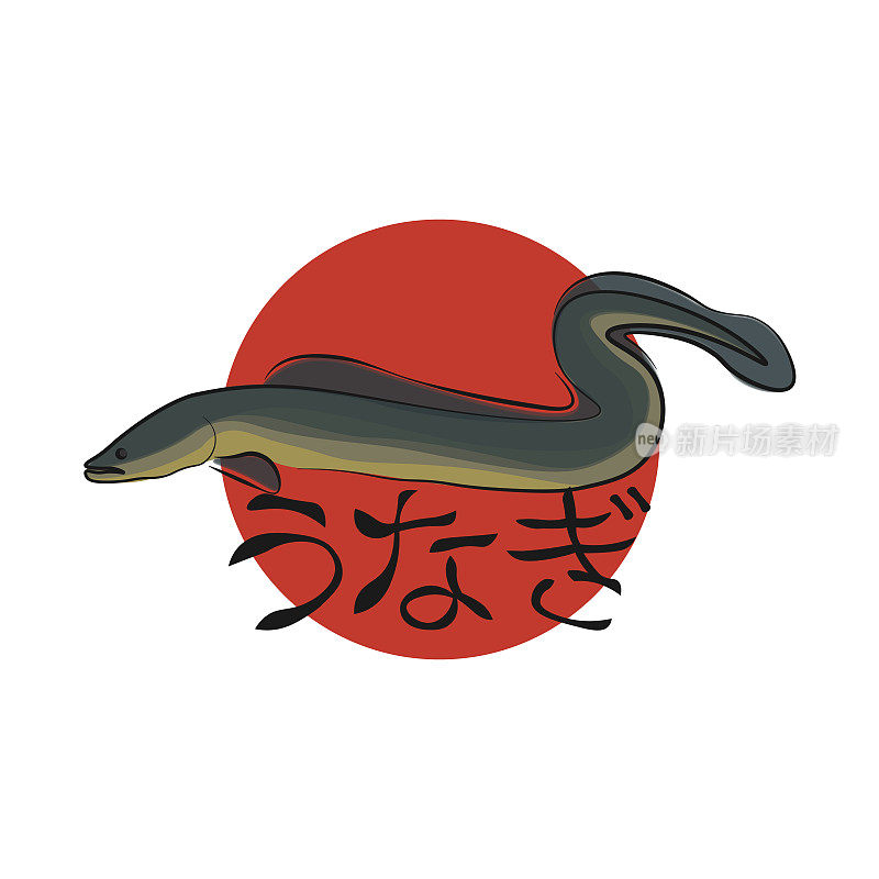 日本鳗鱼鱼海鲜Unagi