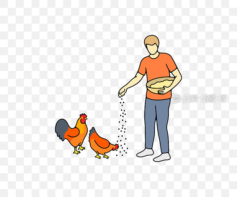男子喂鸡粮从篮子，公鸡和母鸡，彩色平面设计。动物，鸟，农业，农场，鸡笼和家禽院子，矢量设计和插图