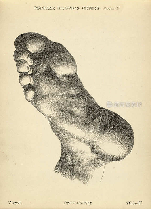 脚底和脚后跟素描，维多利亚时代的艺术人物画仿照19世纪