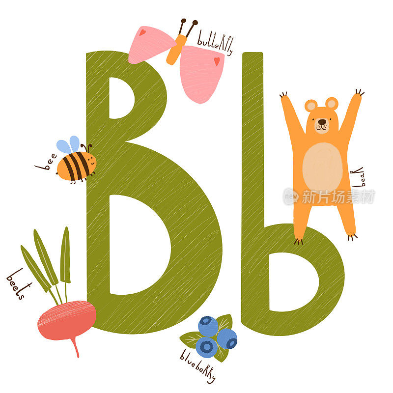 孩子字母表。字母B和B字，B资产，蜜蜂，蝴蝶，熊，甜菜，蓝莓，熊。学会阅读。孤立的插图。