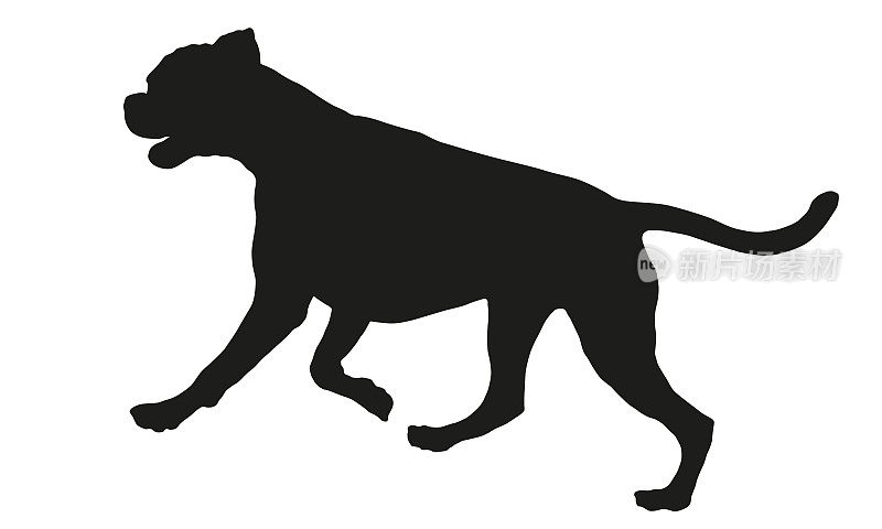 黑狗轮廓。奔跑和跳跃的德国拳师小狗。宠物的动物。孤立在白色背景上。