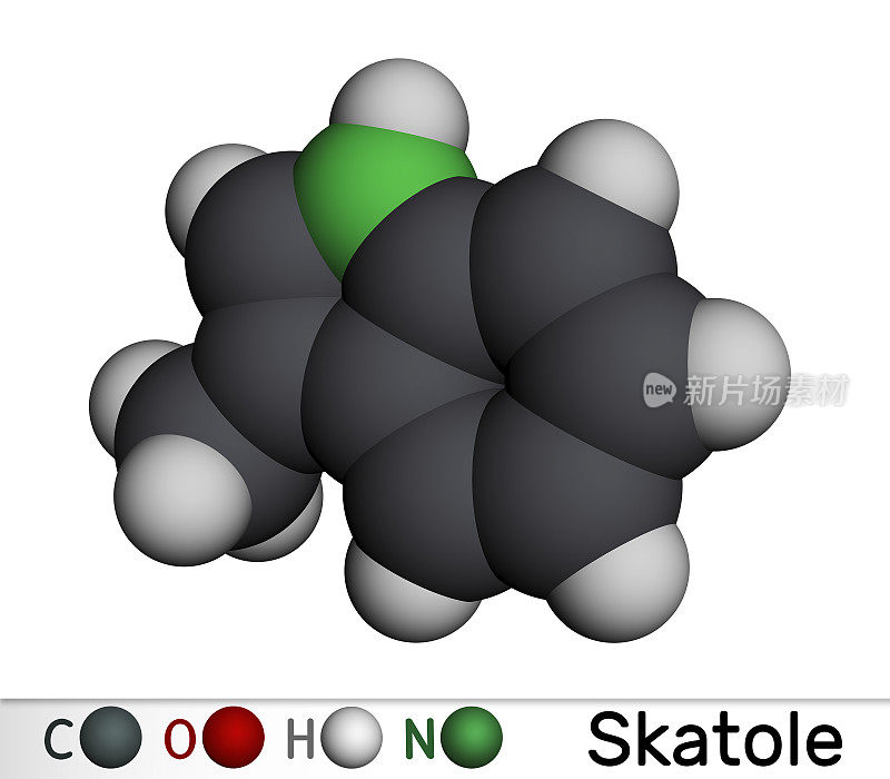 粪臭素,3-methylindole分子。属吲哚科，在许多香料中用作香精和固定剂，也用作芳香化合物。分子模型。三维渲染