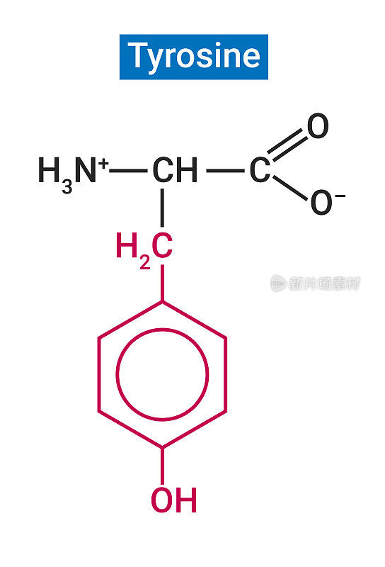 酪氨酸是人体由另一种叫做苯丙氨酸的氨基酸合成的一种非必需氨基酸