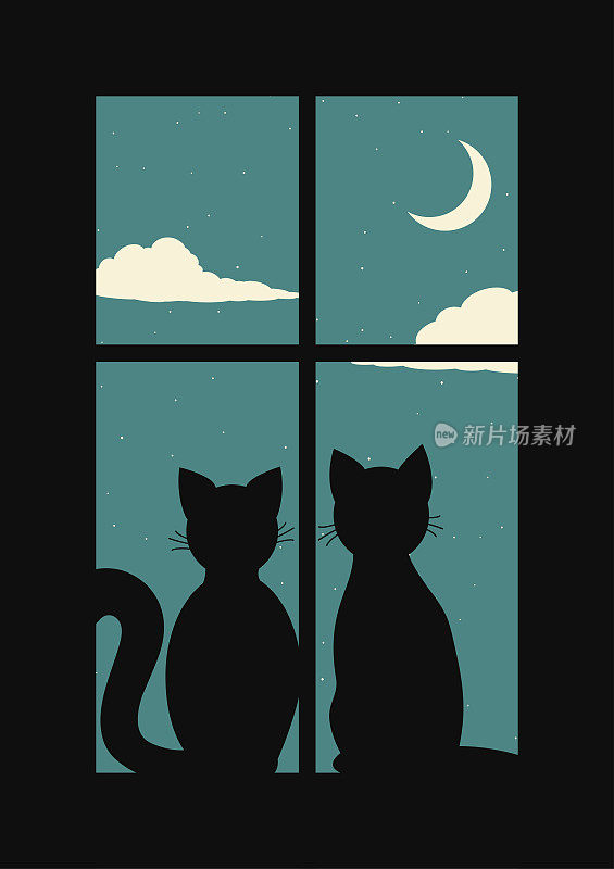 两只相爱的猫在夜晚望向窗外