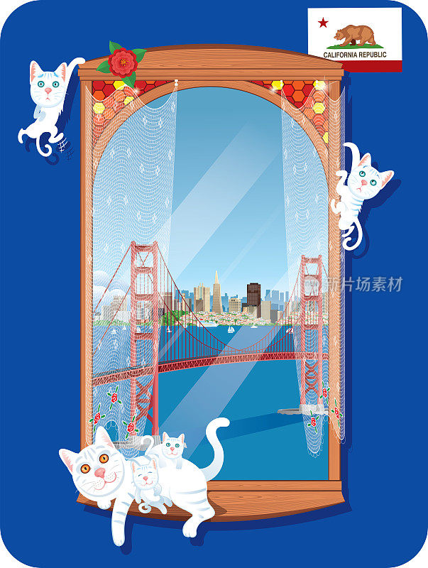 旧金山的窗户和可爱的猫
