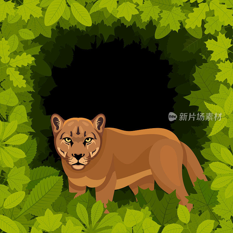 森林里的美洲狮。吉祥物创意Logo设计。